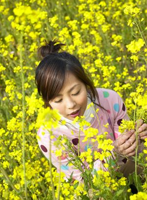 フコキサンチンの経緯と効能とは